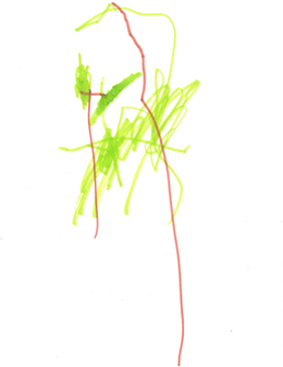 JM's Tree