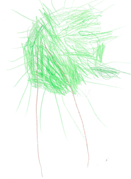 NI's Tree