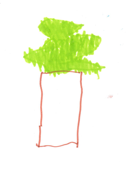 MS' Tree