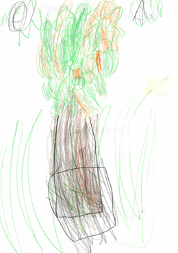HL's Tree