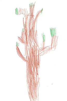 OB's Tree
