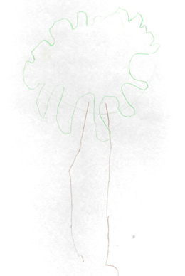 OP's Tree