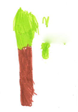 MS' Tree