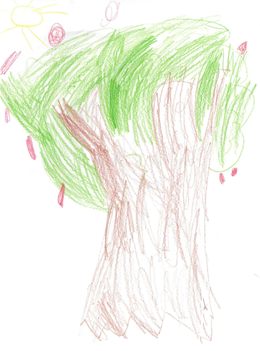 PD's Tree