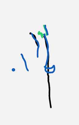 JG's Tree