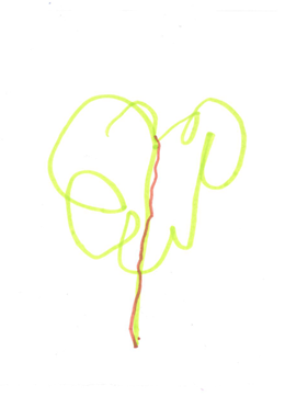 PS' Tree