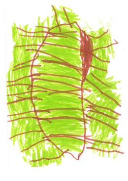 OP's Tree