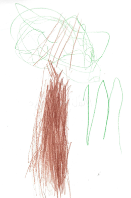 MP's Tree