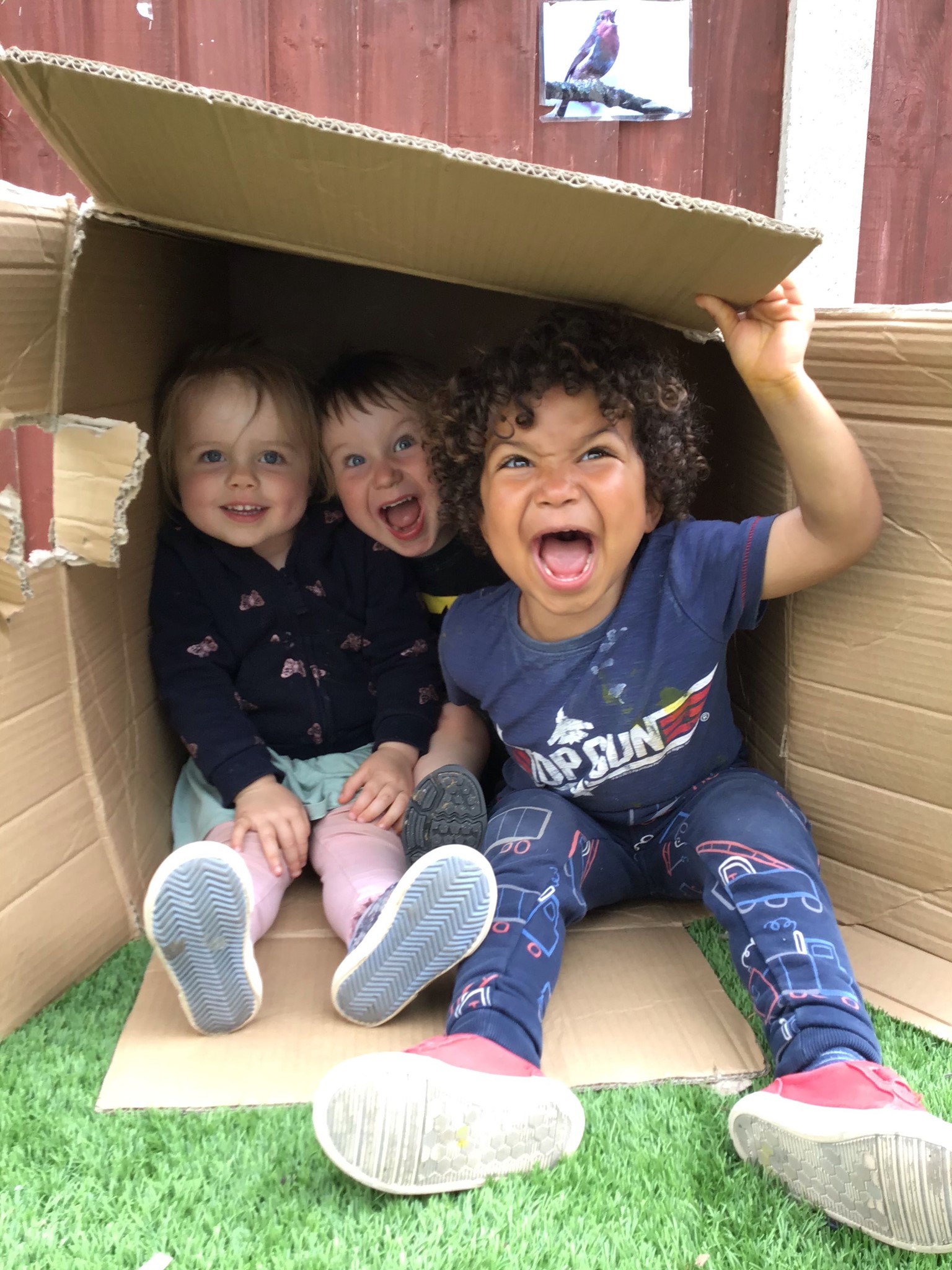 Kindergarten children hiding in cardboard box