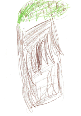 MR's Tree