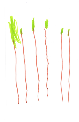 MC's Tree