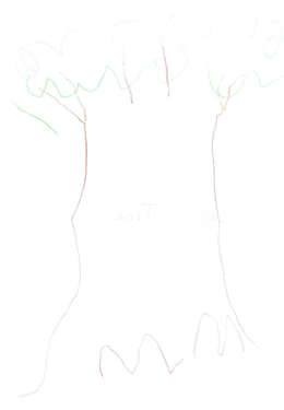 EC's Tree