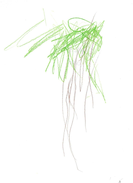 JH's Tree