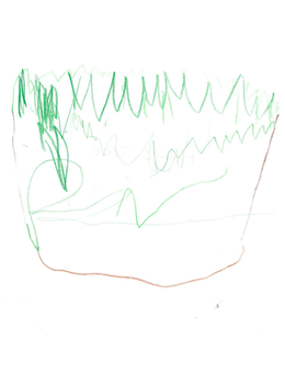 HS' Tree