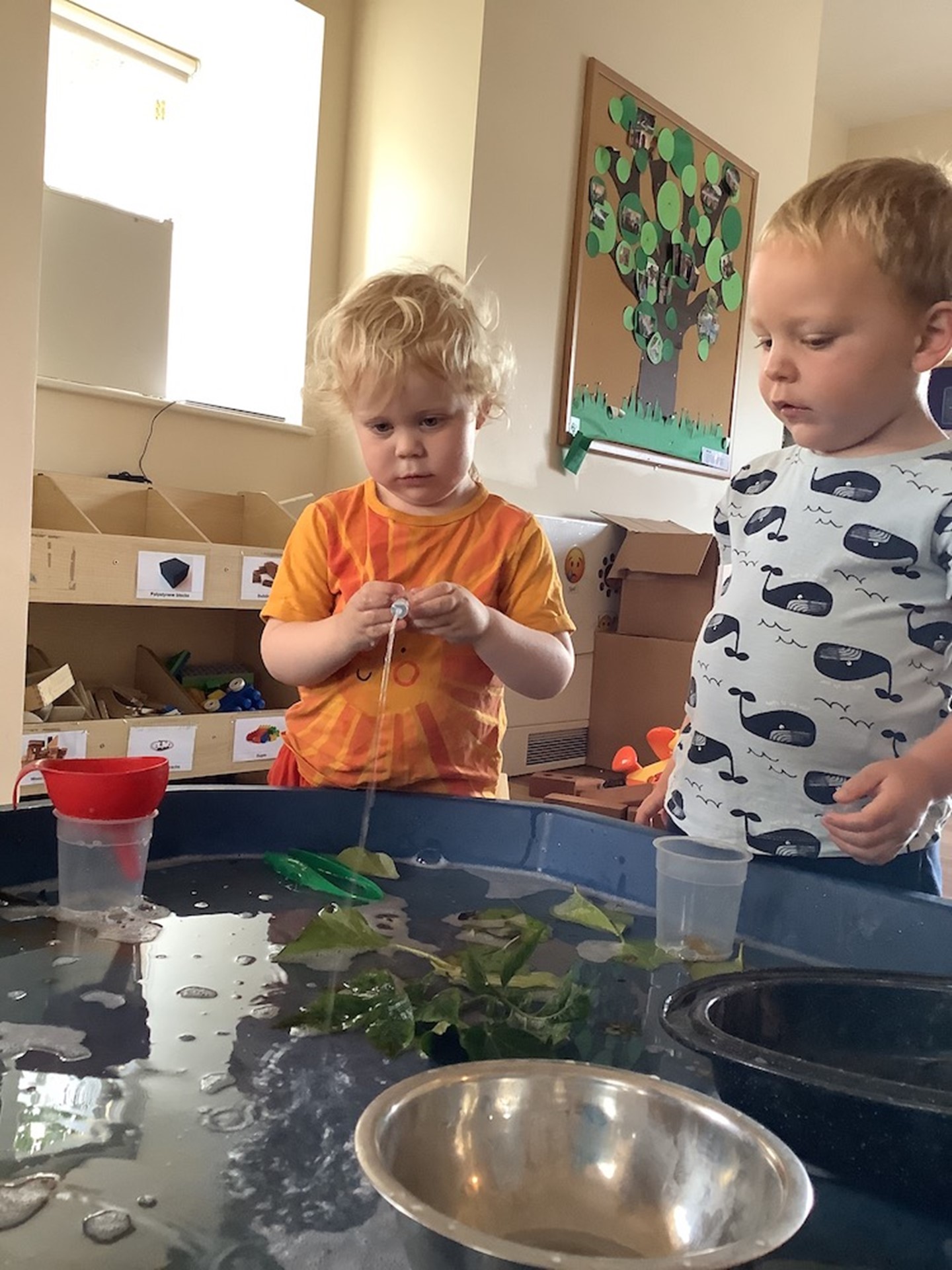 Kindergarten (2)