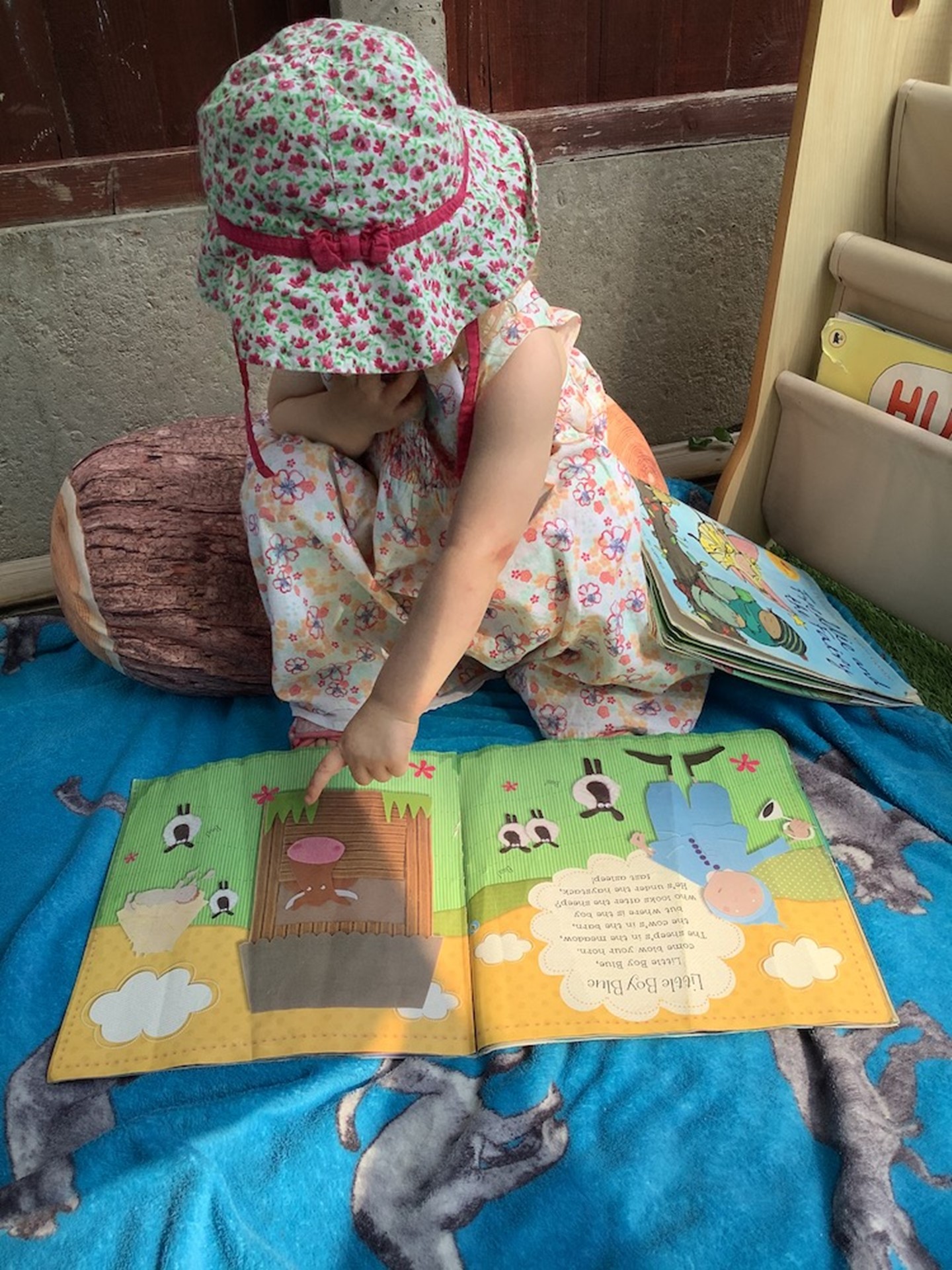 Kindergarten (5)